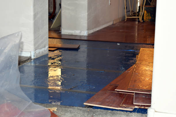 Professional Water Damage technician working in Savoy, TX